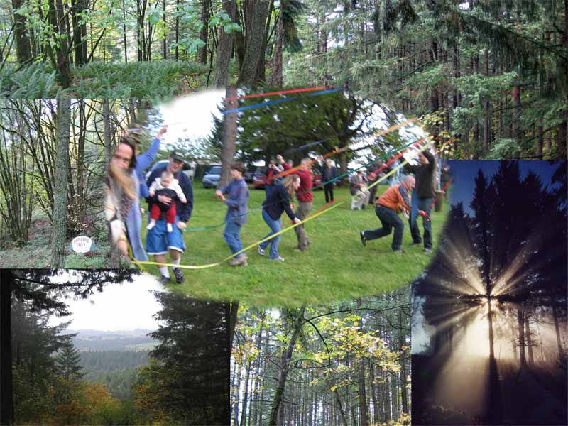 Preserve the trees and in return; Sanctuary