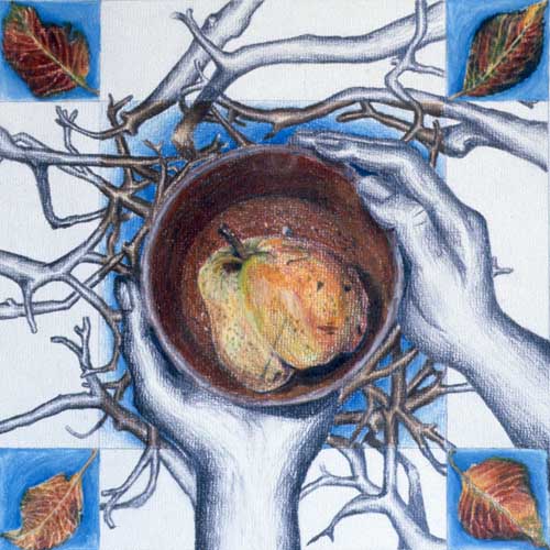 harvest Nest by Amy Brodie Scout