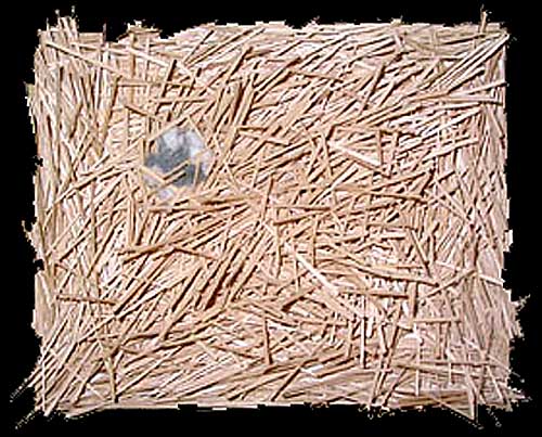 Nest Art by Jude Shipley