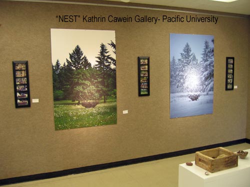 NEST Show Sept 2009 Pacific University